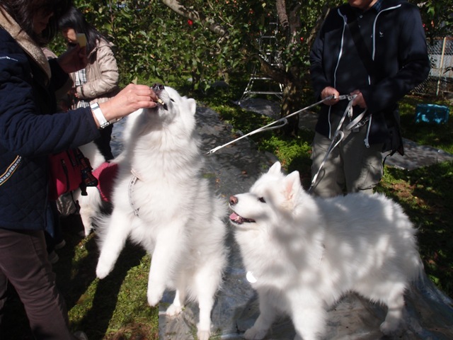 e0018604_10371127.jpg