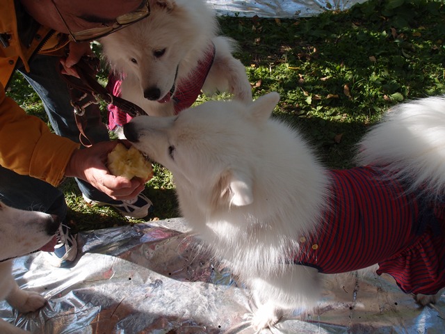 e0018604_10374952.jpg