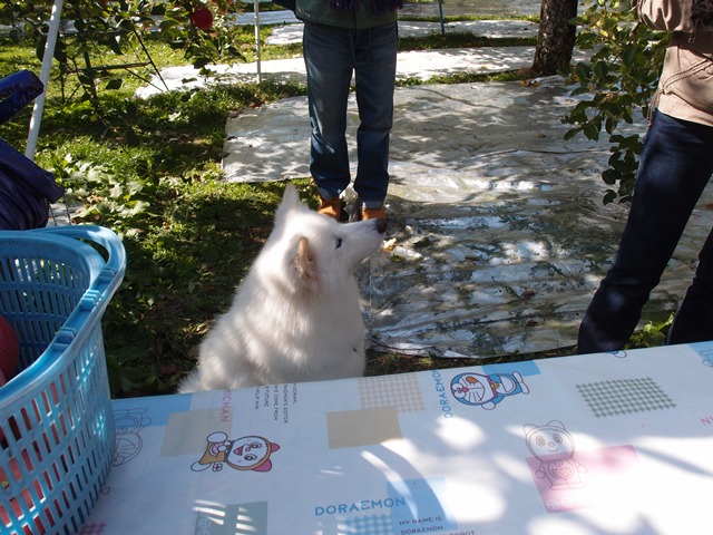e0018604_1040441.jpg