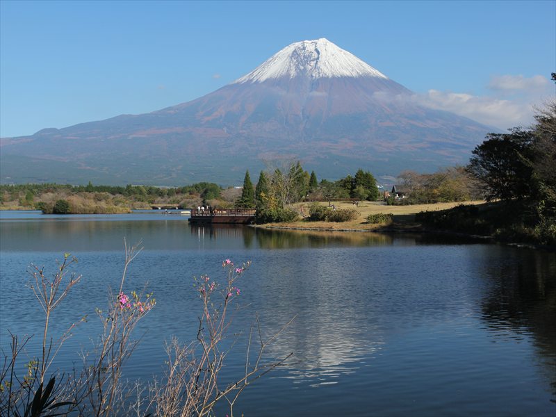 a0188405_17224699.jpg