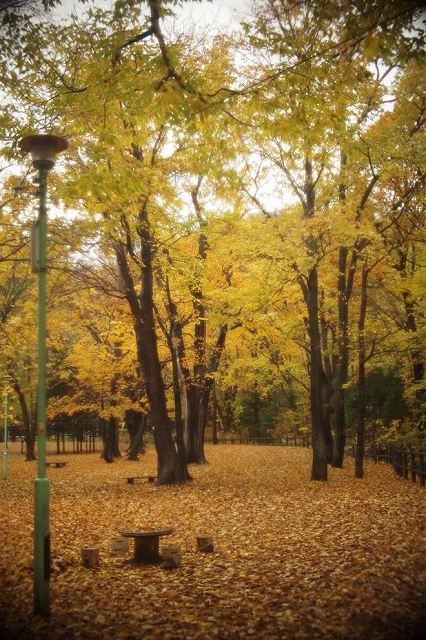 c0202705_16465920.jpg