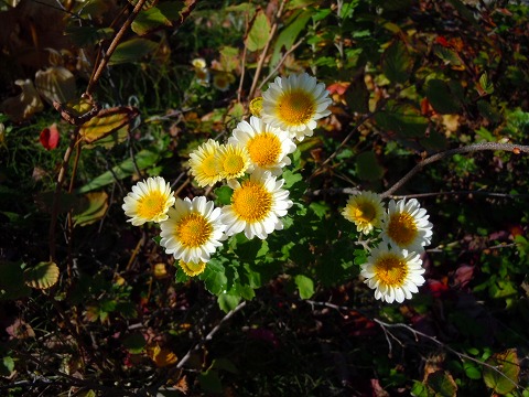 c0117007_2043614.jpg