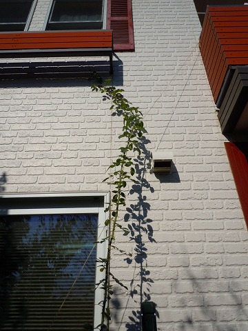 c0117007_2051050.jpg