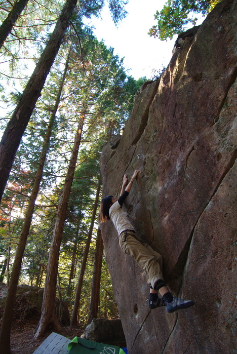f0195813_043214.jpg