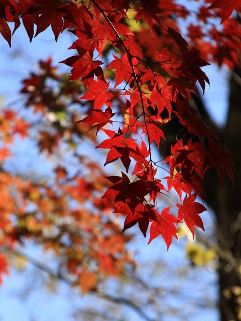 f0207313_10494885.jpg