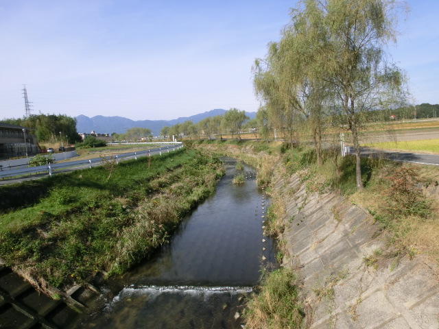b0062214_1456593.jpg