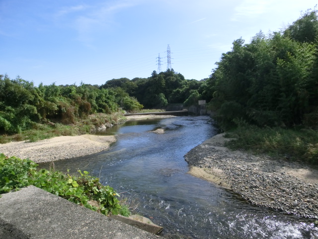 b0062214_15068.jpg