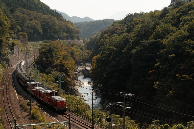 e0005714_2121535.jpg