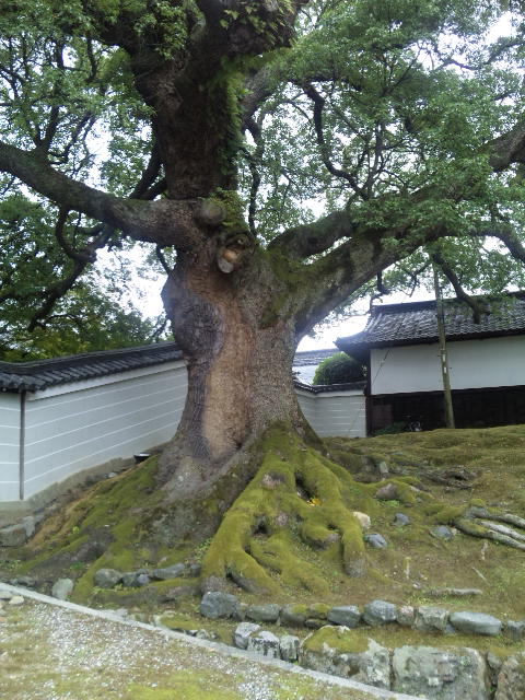 d0063216_0155973.jpg