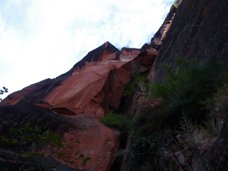 c0210618_20475488.jpg