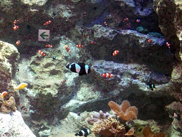 a0053420_22315549.jpg