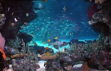 a0053420_22375938.jpg