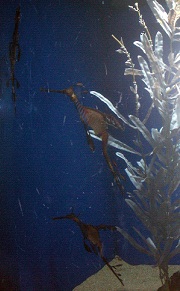 a0053420_22395922.jpg