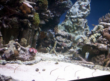 a0053420_22414080.jpg