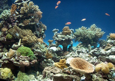 a0053420_22421363.jpg