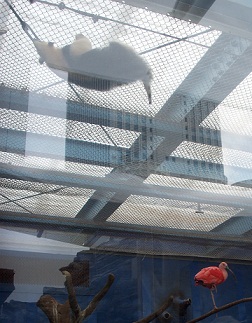 a0053420_22465978.jpg