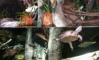 a0053420_229898.jpg