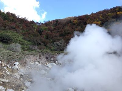 f0100920_22533932.jpg
