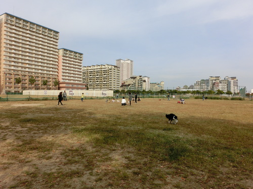 e0179321_2182895.jpg