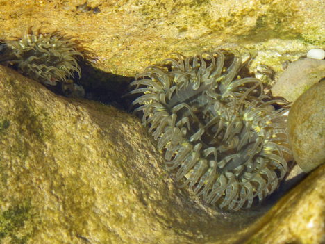 e0294721_11421049.jpg