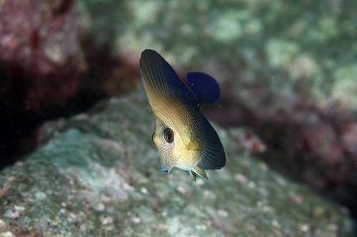f0206424_10131388.jpg