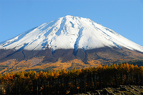 d0023725_1229547.jpg