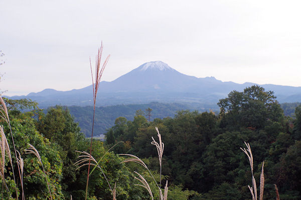 f0007926_13271952.jpg
