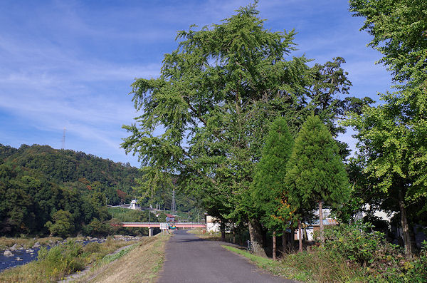 f0007926_13363776.jpg