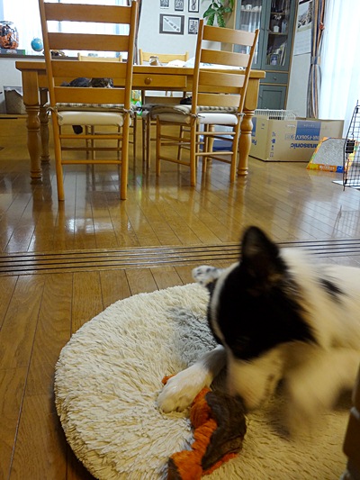 b0279527_23132445.jpg