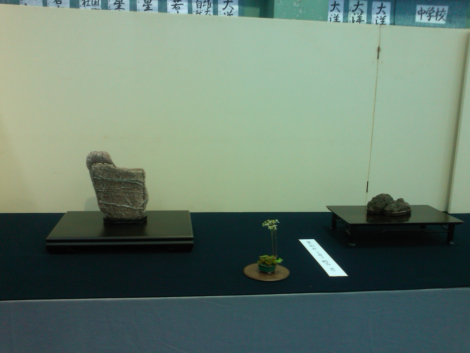f0111128_010513.jpg