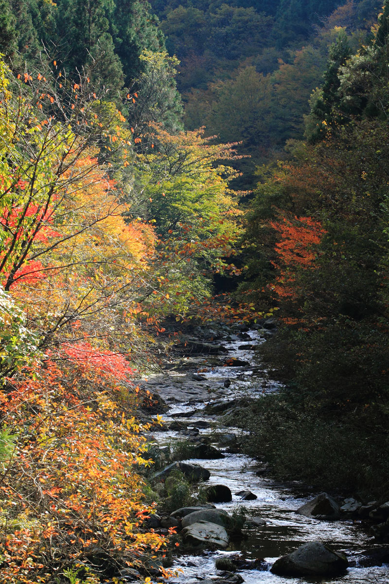 b0222029_2173346.jpg