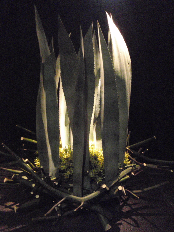c0034029_9344384.jpg