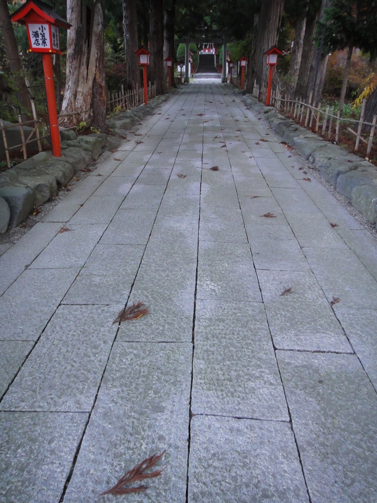 c0111229_17174455.jpg