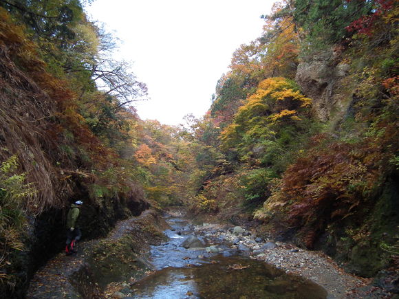 f0118332_21382462.jpg