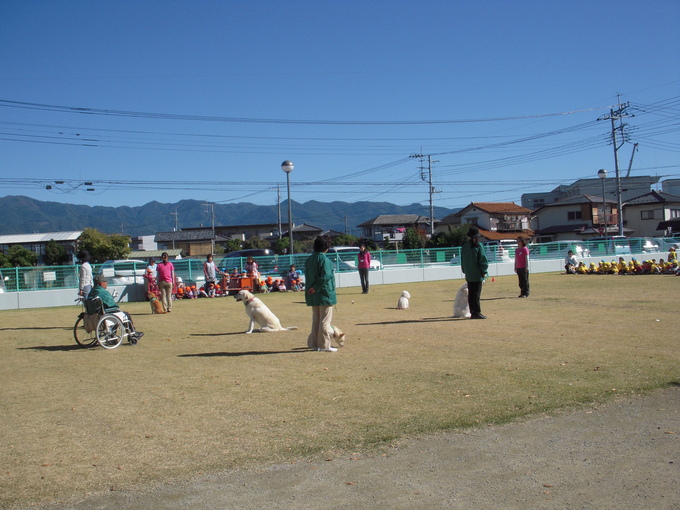 c0114833_232931.jpg