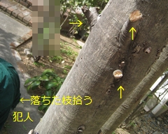 c0134734_22115071.jpg