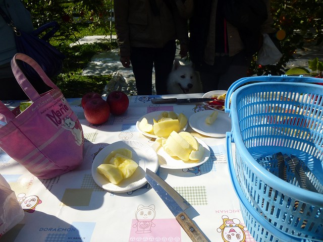 e0196135_21174215.jpg