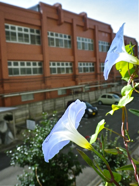 b0027736_15243717.jpg