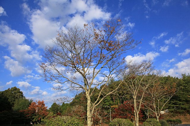 a0242438_17181730.jpg