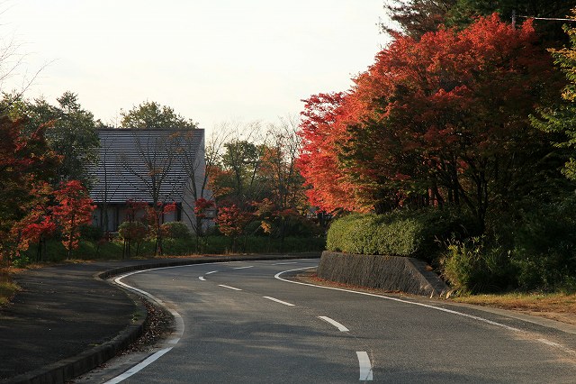 a0242438_17194374.jpg