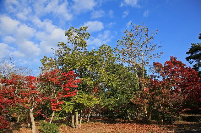 a0242438_17202812.jpg