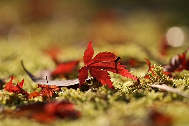 a0242438_17203461.jpg
