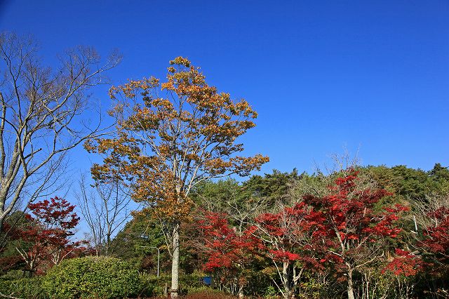 a0242438_1720853.jpg