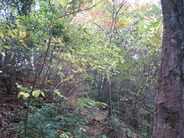 c0077338_20293998.jpg