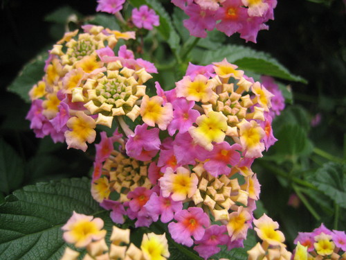 b0086939_21551735.jpg