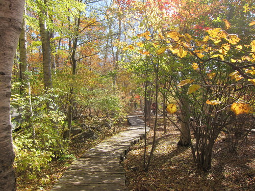b0178339_23351213.jpg