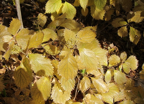 b0178339_23354073.jpg