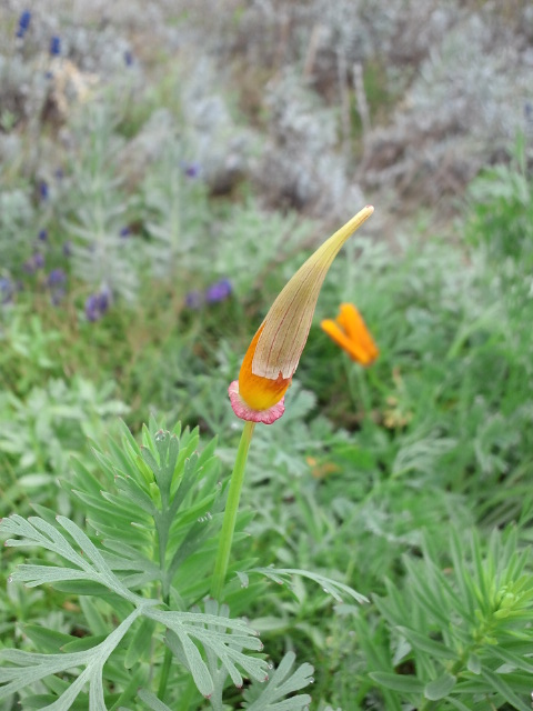 c0117239_9483916.jpg