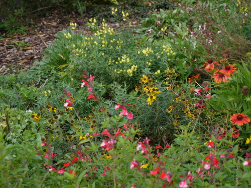 c0195439_20104984.jpg