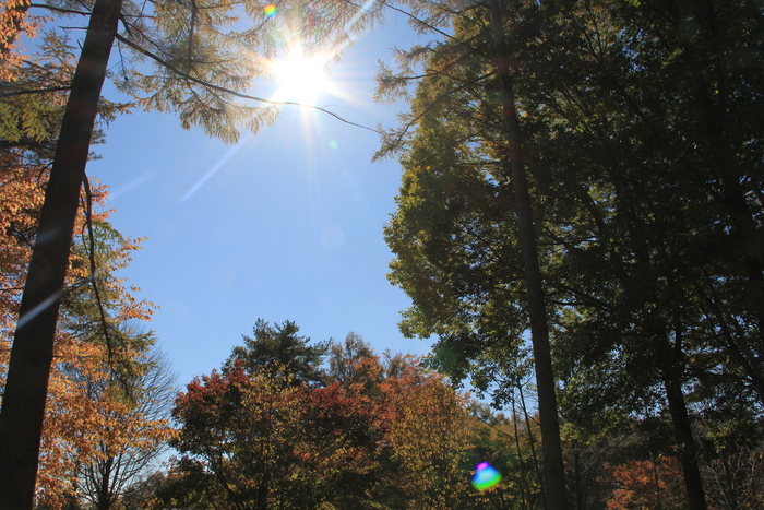 e0227139_22572490.jpg